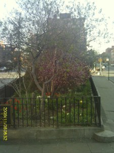 Grant, Union Club Brooklyn park