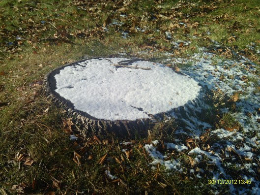 Snowy stump