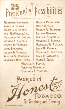 The potential candidates