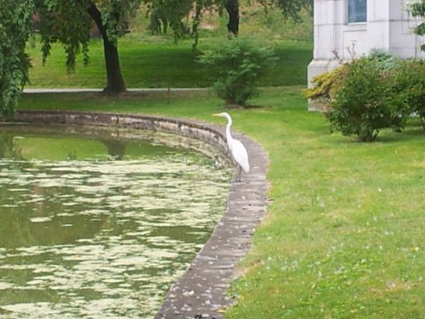 Brooklyn's Green-Wood Cemetery