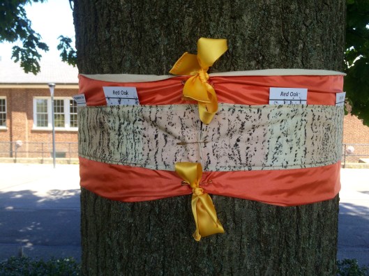 Yellow ribbons are a thoughtful detail.